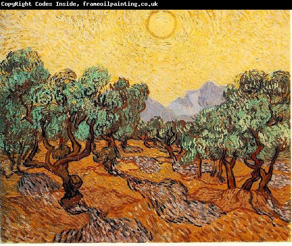 Vincent Van Gogh Olive Trees with Yellow Sky and Sun